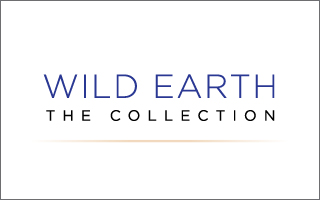 wild logo